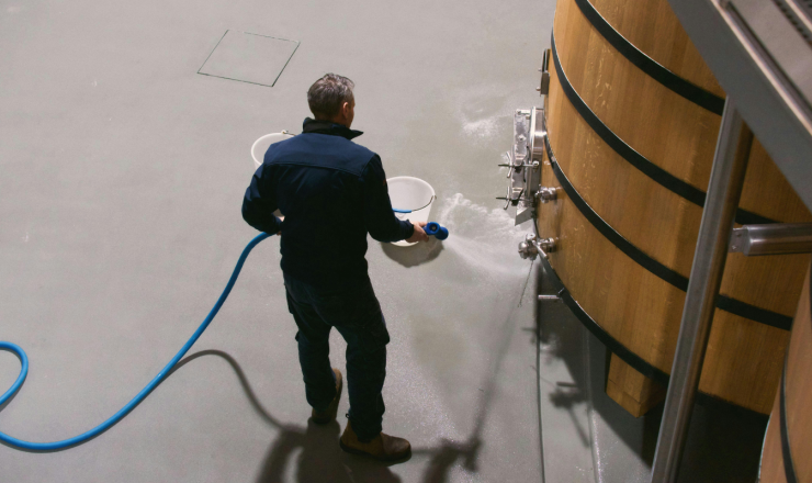 Cellar hygiene