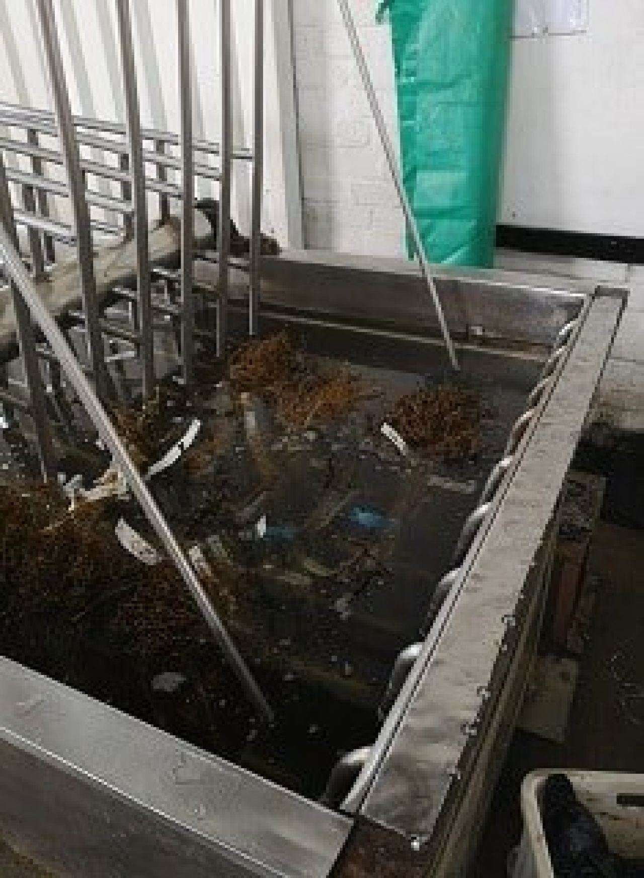 Hot water treatment Photo 1