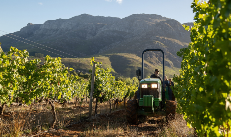 How to understand regenerative farming