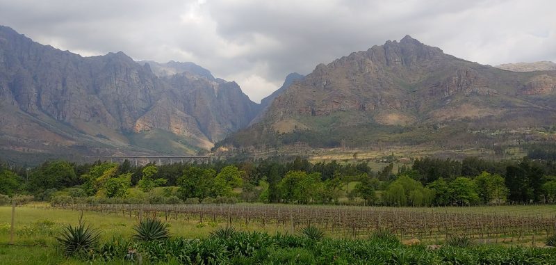 Distrikblik