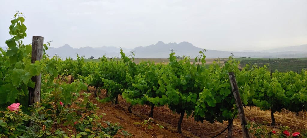Onoma Private Cellar