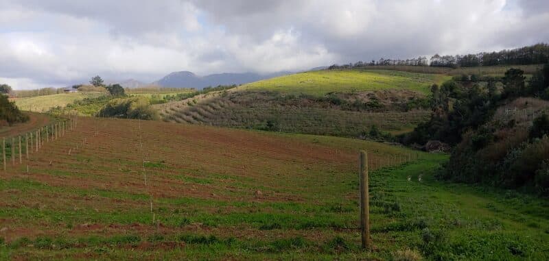 Radford Dale