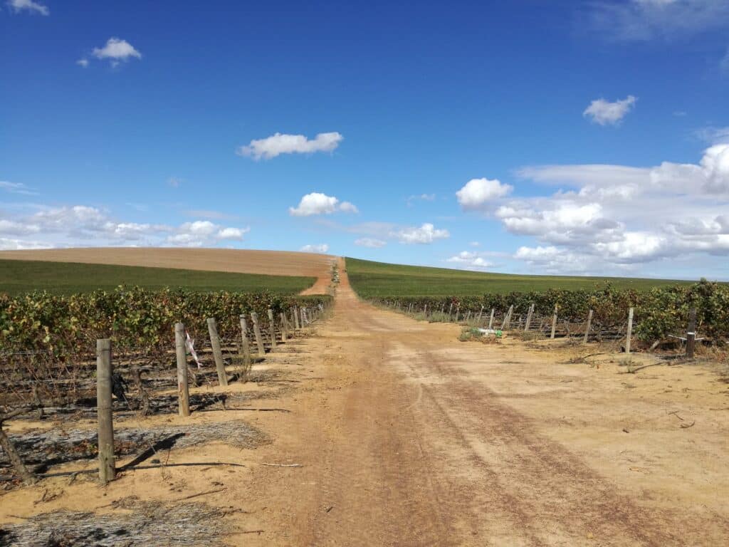 Irrigation