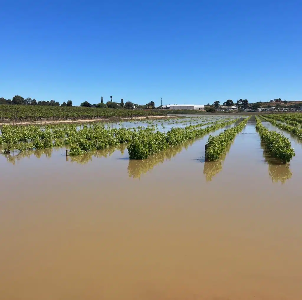 Floods