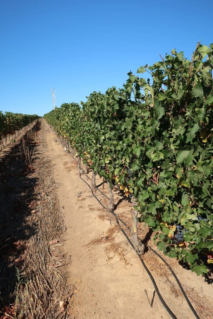 Irrigation