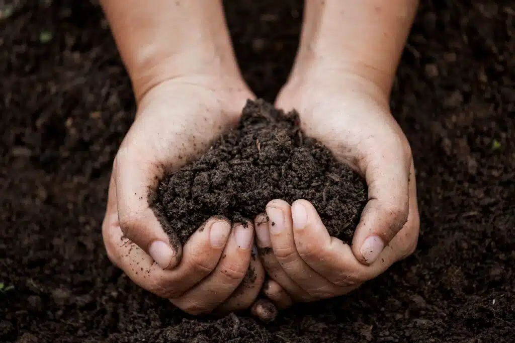 Soil science