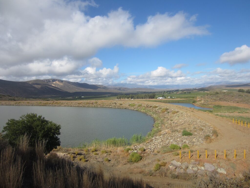 Winery wastewater