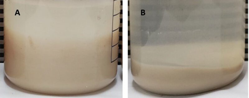 Plant-based proteins 1