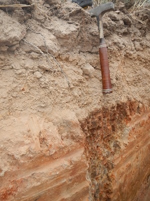 Rootstock 3