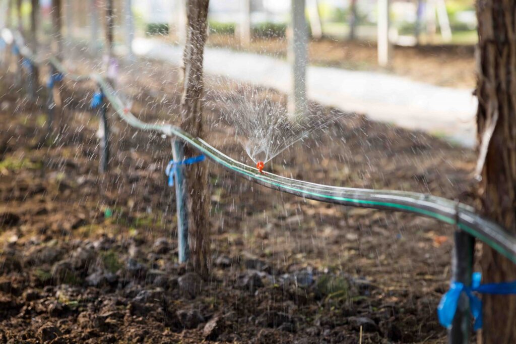 Winery wastewater