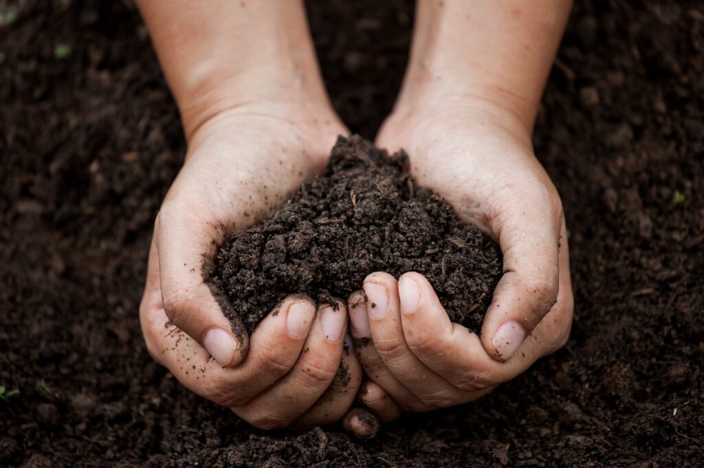 Terroir