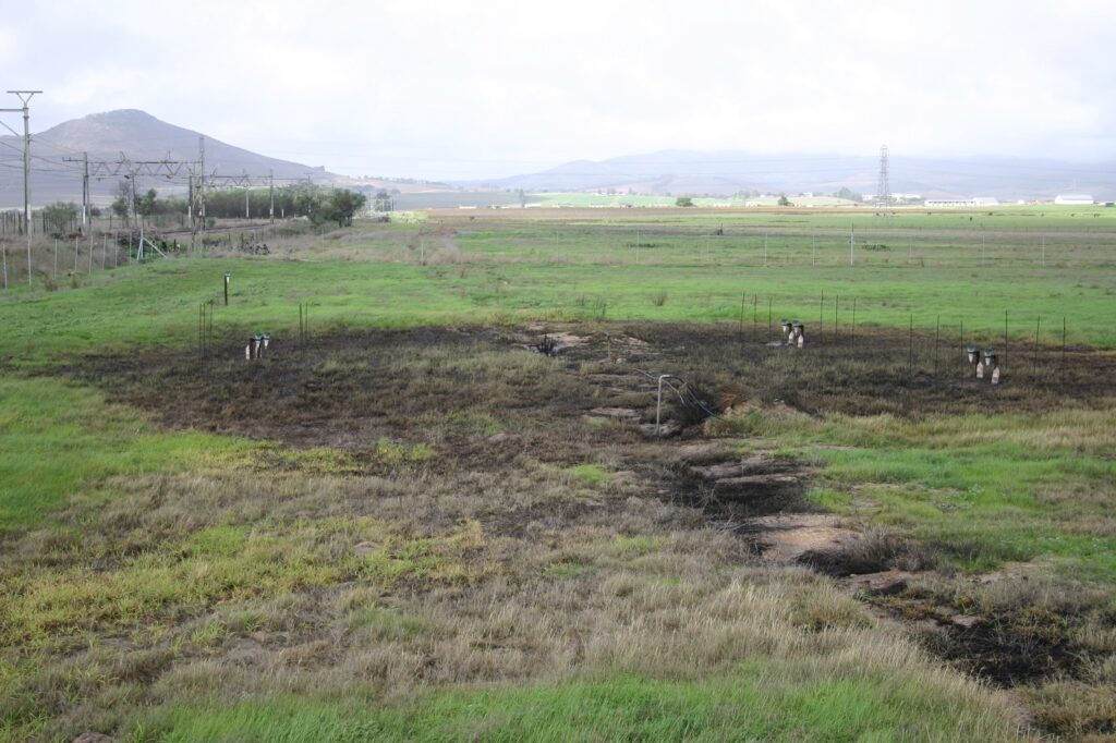 Winery wastewater