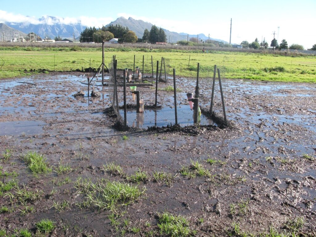 Winery wastewater