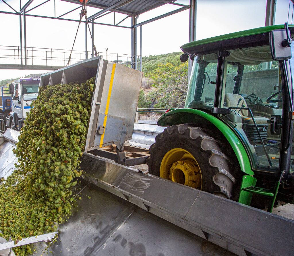 Post-harvest